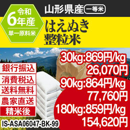 はえぬき 整粒米 山形県 置賜 R6年 銀行振込 IS-ASA06047-BK-99