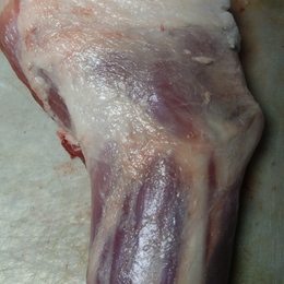 【小田原産】:猪メス腕肉　約1kg(骨付き)不定貫商品
