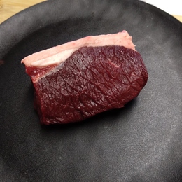 【小田原産】小田原のめぐみ　夏鹿モモ肉200g　ブロック