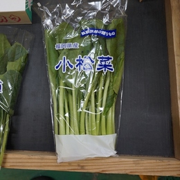 【福岡産】小松菜 30袋