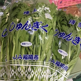 【福岡産】春菊 30袋