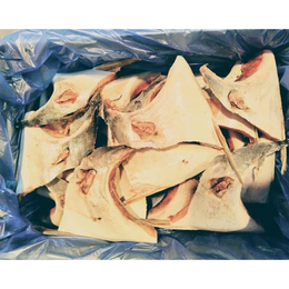 青森県産　特大天然ブリカマ5kg((250gUP約20入 )  ×2　