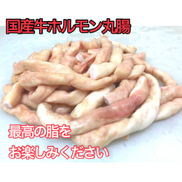 【鮮度抜群】国産牛丸腸3kg