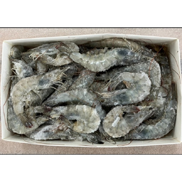 有頭バナメイエビ　20-30サイズ　2kg(約50尾)