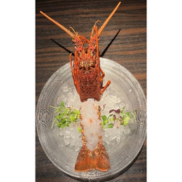 【刺身OK】冷凍イセエビ5kg(11尾)/伊勢海老