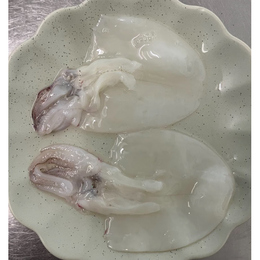 冷凍ヤリイカ姿下足13g/260g(20枚)