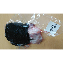 【限定販売】希少　ヒグマ　左前足　　900g　