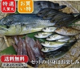 【送料無料】五島列島の小魚セット ★朝獲れ鮮魚直送★「神経抜き」