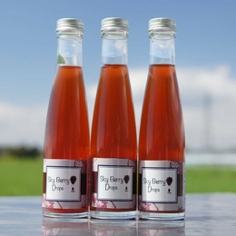 sky berry drops　180ml×1本