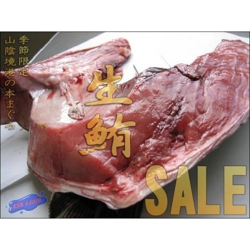 黒まぐろカマ1本1kg前後 お刺身用/冷凍、境港産 ...カマトロたっぷり