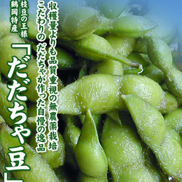 だだちゃ豆(品種:本白山)　無農薬栽培