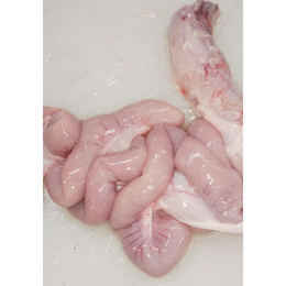 国産豚コブクロ1kg(冷蔵)