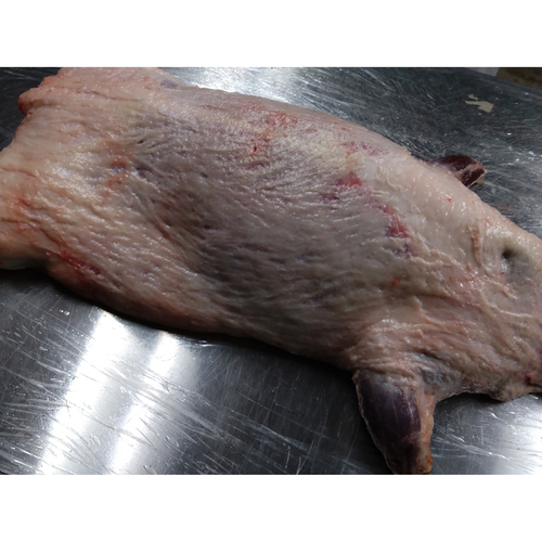 【小田原産】:限定1 アナグマ1頭 (程よい脂がついています)