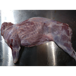 【小田原産】:猪半身(赤身)　約6kg