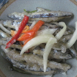 鹿児島 佐多岬産 朝獲れ きびなご お刺身用 業務用食材卸売サイトのispフーズ