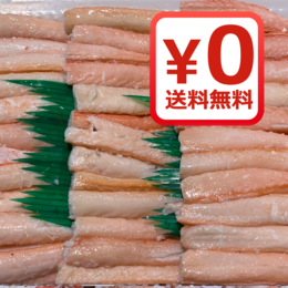 【期間限定・送料無料】富山県産 紅ずわいがに 棒肉約100本!