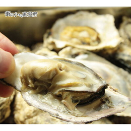 宮城県石巻産、旬の時期に急速冷凍した殻付き牡蠣