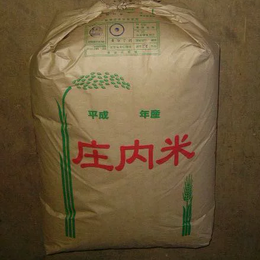 【送料込価格!!】令和4年産庄内産ササニシキ玄米24kg