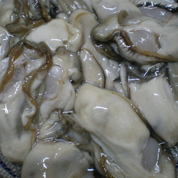 北海道厚岸産 特大　牡蠣むき身　生ガキ　生食用 500g 2袋