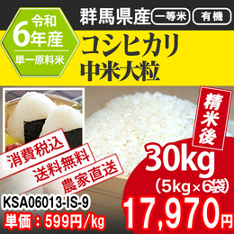 群馬県産 コシヒカリ 大粒中米 R6年度 JK-KSA06013-IS-06  【代引】