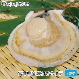 三陸産殻付きホタテ　30枚