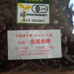 有機栽培(オーガニック)北海道十勝本別産　北海金時豆 20kg