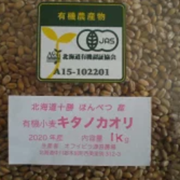 【北海道十勝本別産】有機栽培(オーガニック)有機小麦キタノカオリ10kg