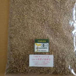 【北海道十勝本別産】有機栽培(オーガニック)有機小麦キタノカオリ