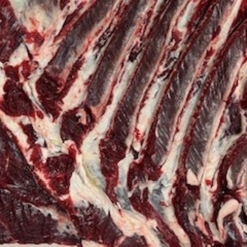 【希少!!】2025年4月捕獲ヒグマ 熊肉 バラ肉