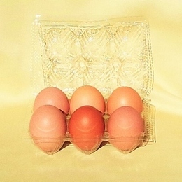 お米と有機野菜で育ったもみじ卵「おぼろ月」(平飼い有精卵)Lサイズ×6個
