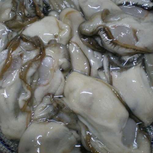 北海道厚岸産 特大　牡蠣むき身　生ガキ　生食用 500g 4袋