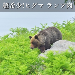 超希少! 北海道熊肉(ヒグマ肉)ランプ 5歳オス生体重量180kg HACCP取得処理施設加工
