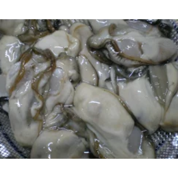 北海道厚岸産名品牡蠣「マルえもん」Mサイズむき身　生食可　生産者直送