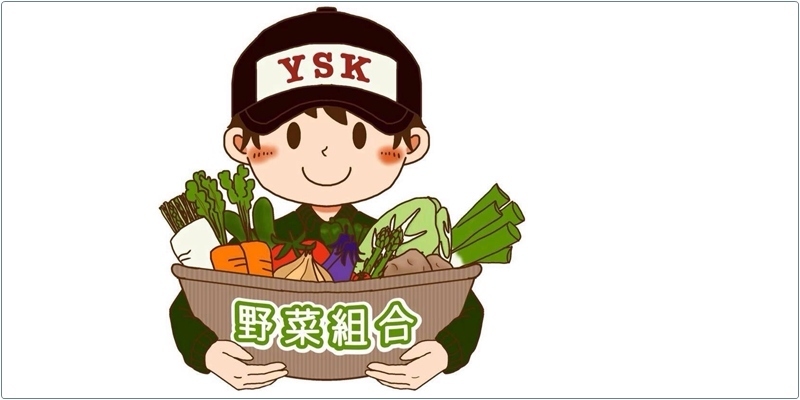 YSK野菜組合